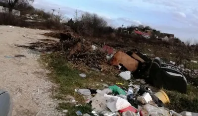 Grabovik ogledalo ljudske nebrige