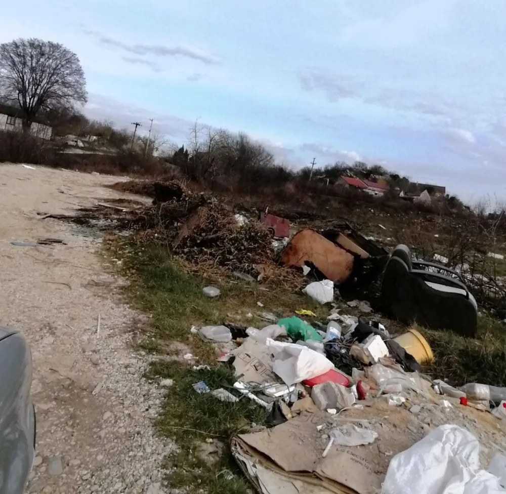 Grabovik ogledalo ljudske nebrige