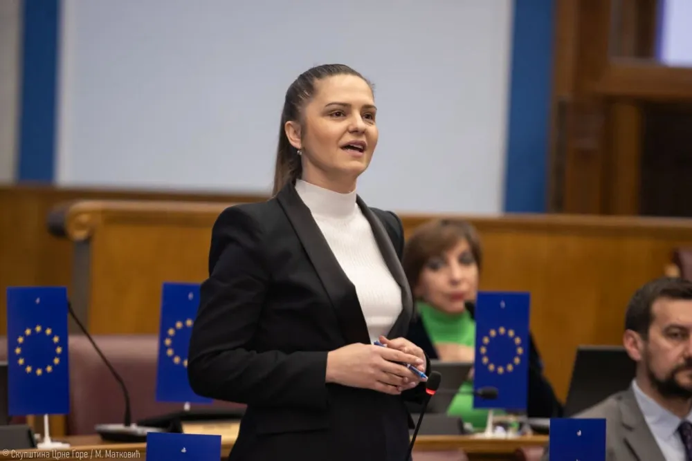 Andrić za "Dan": Žene moraju biti kreatorke politika, a ne samo statistika
