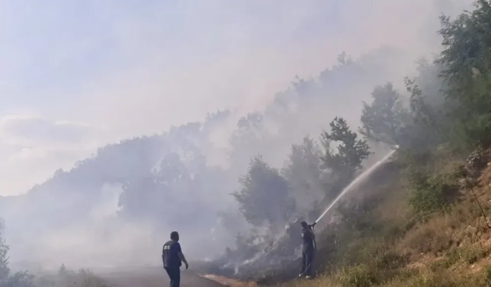 Cetinje: Tri požara danas zbog spaljivanja biljnog otpada