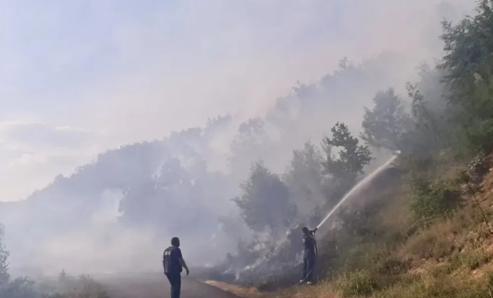 Cetinje: Tri požara danas zbog spaljivanja biljnog otpada