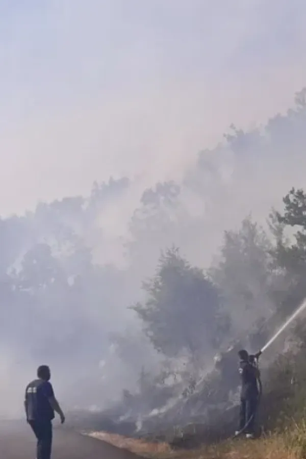 Cetinje: Tri požara danas zbog spaljivanja biljnog otpada