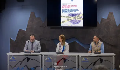 Ćulafić: Dugoročni cilj je smanjenje ilegalnog ubijanja i trgovine pticama za najmanje 50 odsto do 2030.