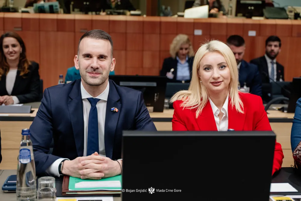 Spajić i Gorčević