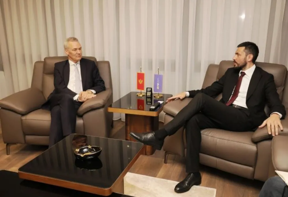 Živković: Aktuelna vlast ne može obezbijediti konsenzus država članica za pristupanje EU
