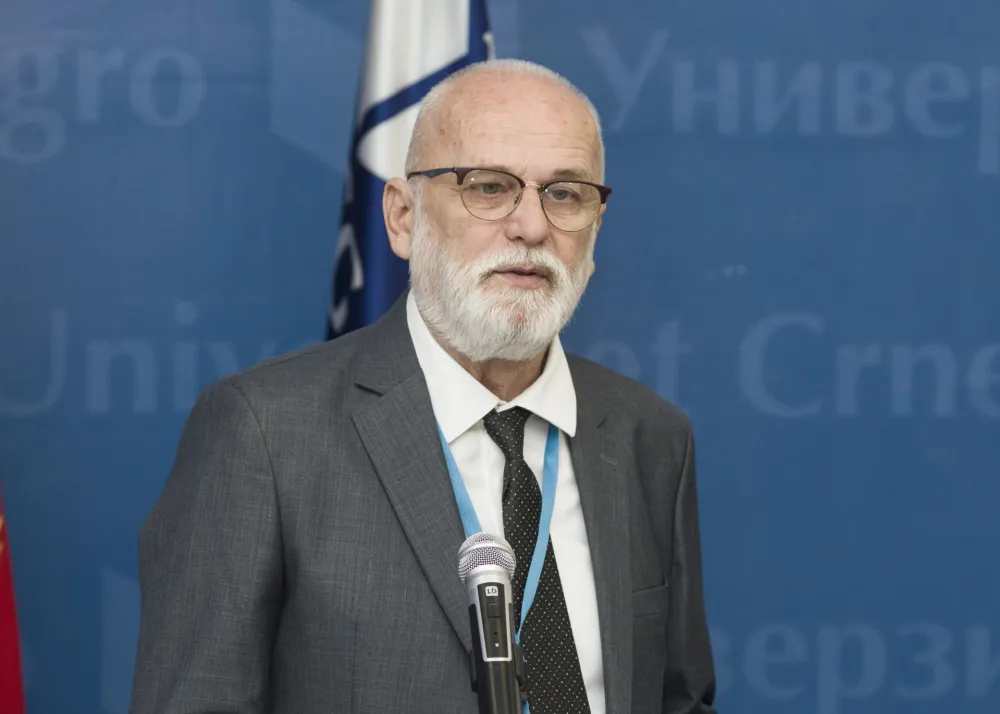 Počeo projekat "Muzeji za 21. vijek" Muzejskog dru&scaron;tva Crne Gore