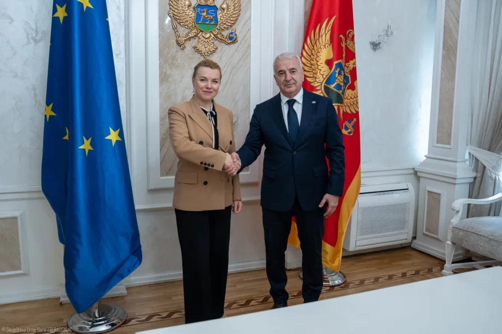 Đurović-Molcean: Uspostaviti bližu saradnju između Skup&scaron;tine Crne Gore i UNECE-a