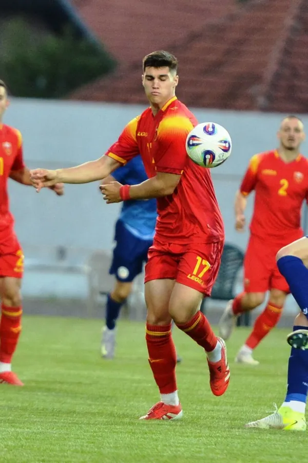 Vasilije Adžić