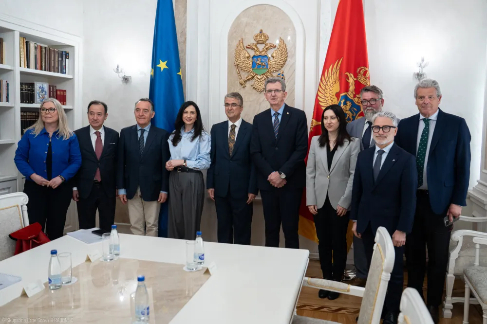 Za Crnu Goru su dragocjena iskustva i prakse drugih zemalja u prevenciji radikalizacije i borbe protiv terorizma