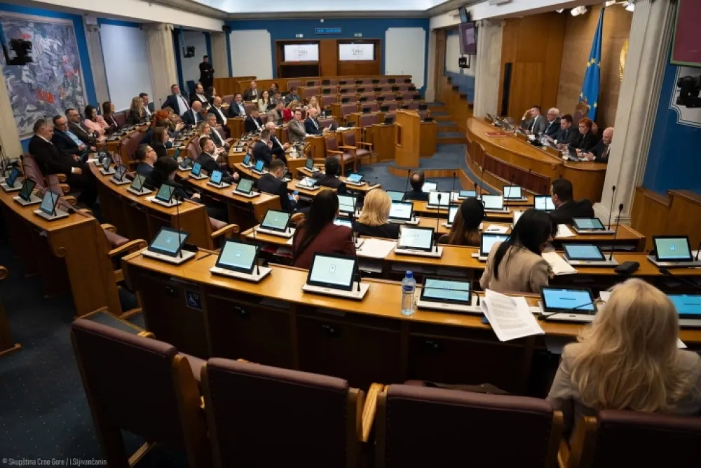 Poslanici različito o izmjenama zakona o privrednim dru&scaron;tvima