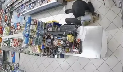 Pljačka u Mostaru