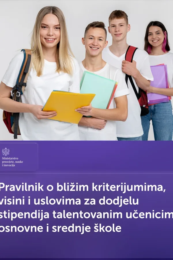 VIZUAL, MPNI