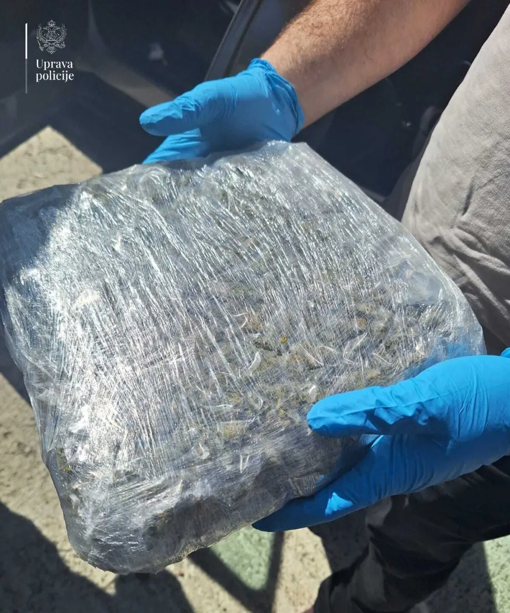 Zaplijenjena marihuana