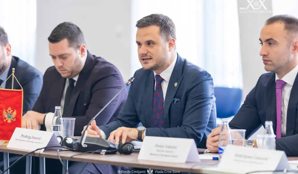 Predrag Zenović