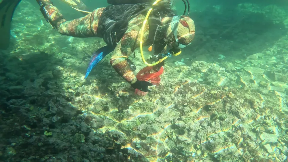 Uklanjanje otpada iz mora i morskih pećina na području Parkova prirode Platamuni, Katič i Stari Ulcinj