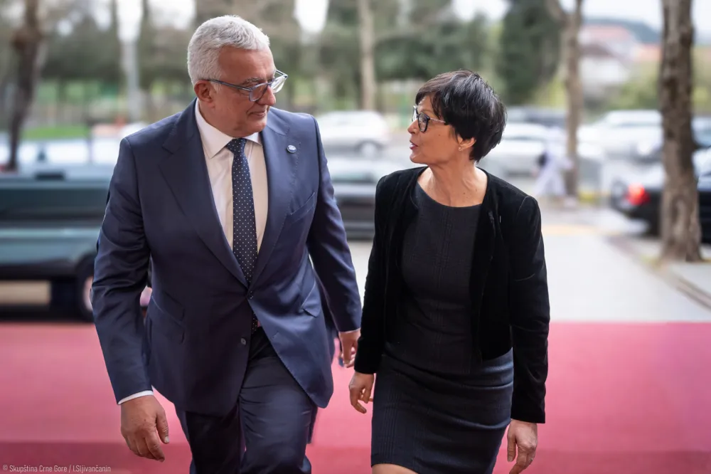 Mandić&ndash;Kos: Crna Gora je na zavr&scaron;noj dionici svog puta ka članstvu u Evropskoj uniji