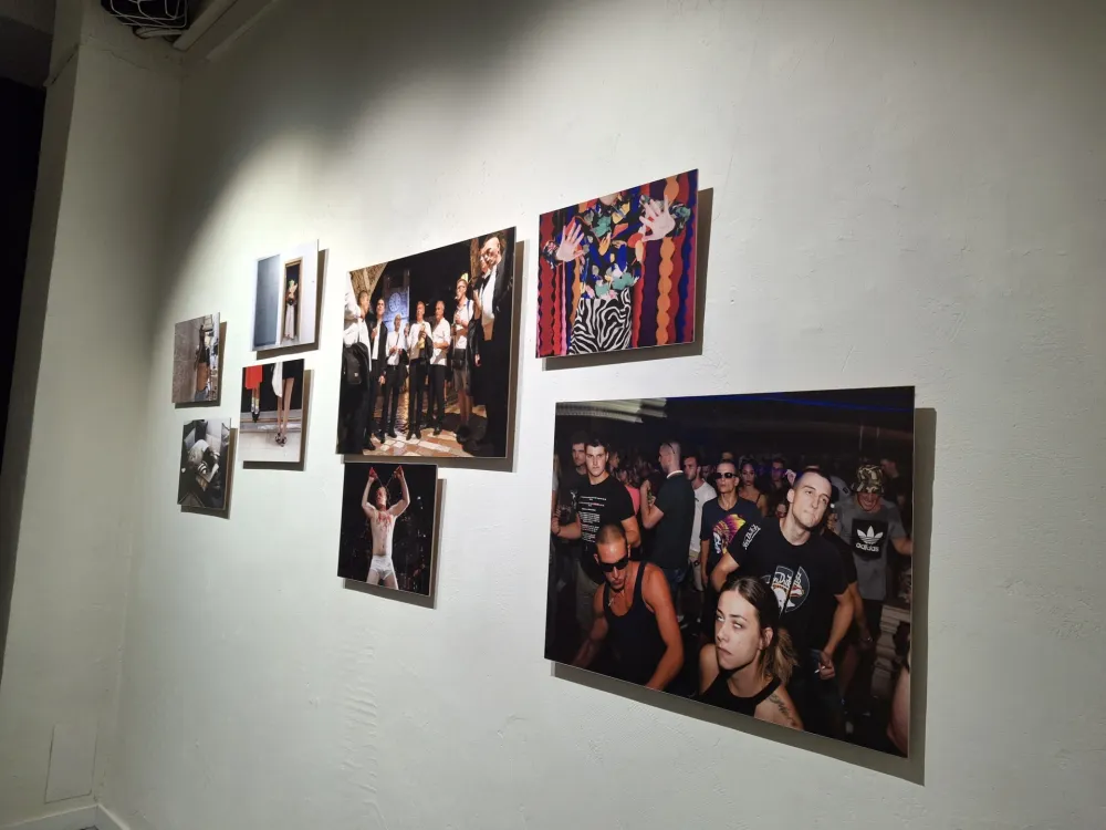 Krsto Vulović: Popričajmo o instinktu kao umjetničkom filteru