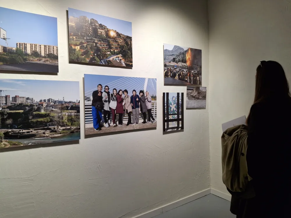 Krsto Vulović: Popričajmo o instinktu kao umjetničkom filteru