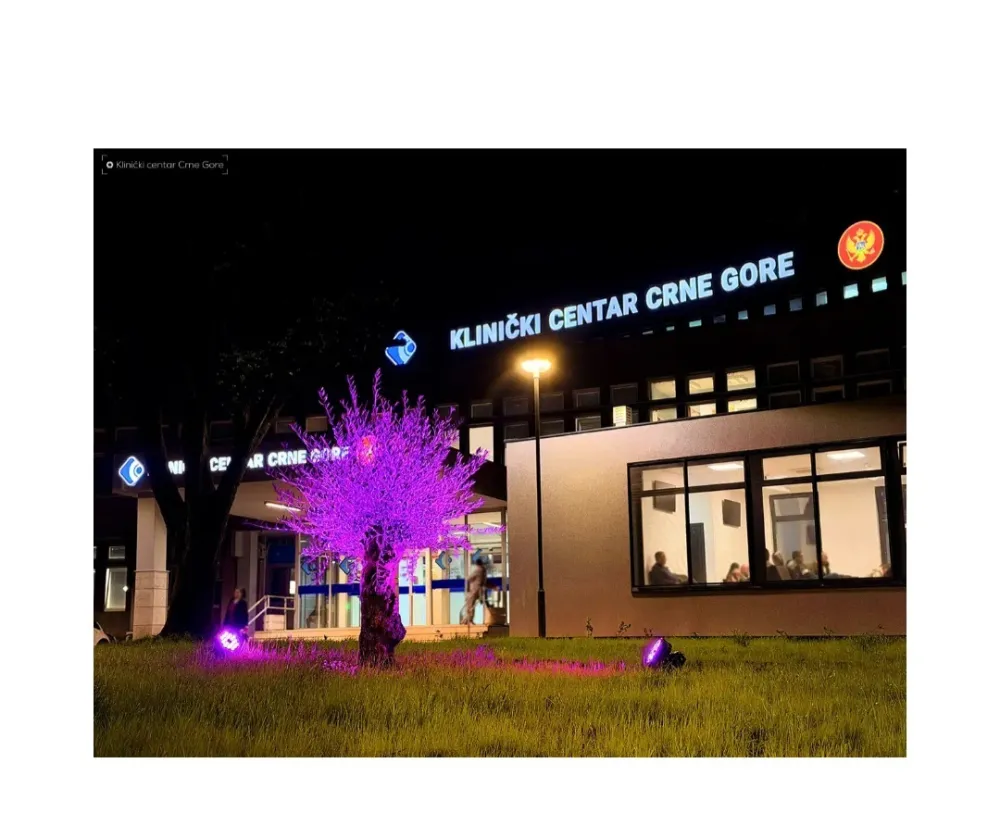 Vi&scaron;e od 6.000 osoba ima epilepsiju