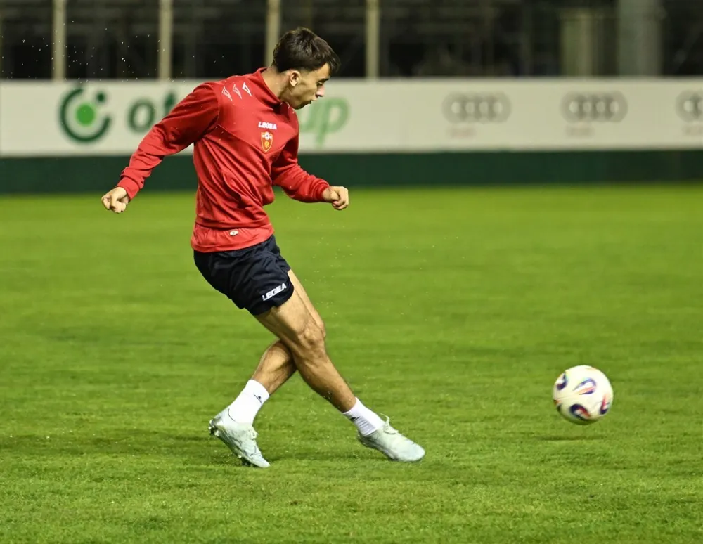 Andrija Bulatović