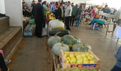 U Beranama sela proizvode hranu, ali je industrija zatajila