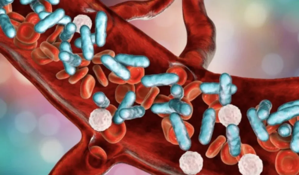 Nova kombinovana terapija mogla bi da liječi agresivnu leukemiju, otkrivaju naučnici