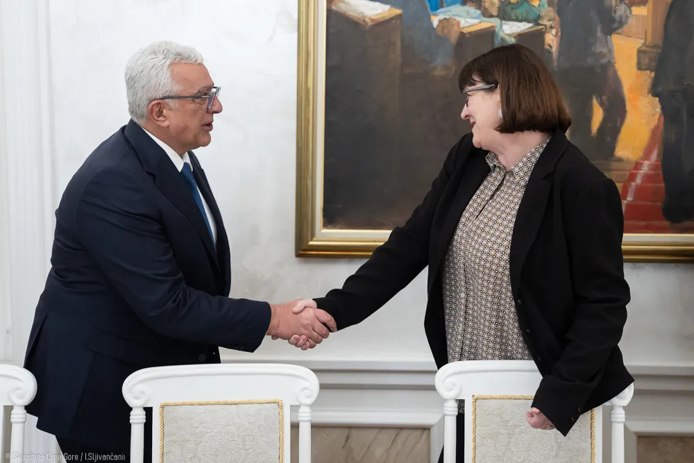 Mandić: Skup&scaron;tina Crne Gore može mnogo toga da nauči od britanskog parlamenta