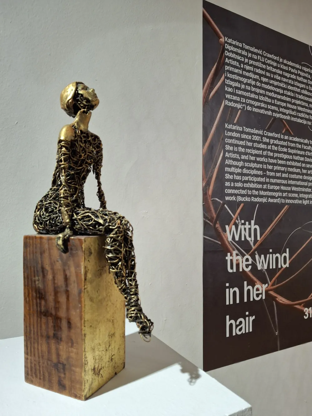 Snovi upleteni u kosu koju mrsi vjetar