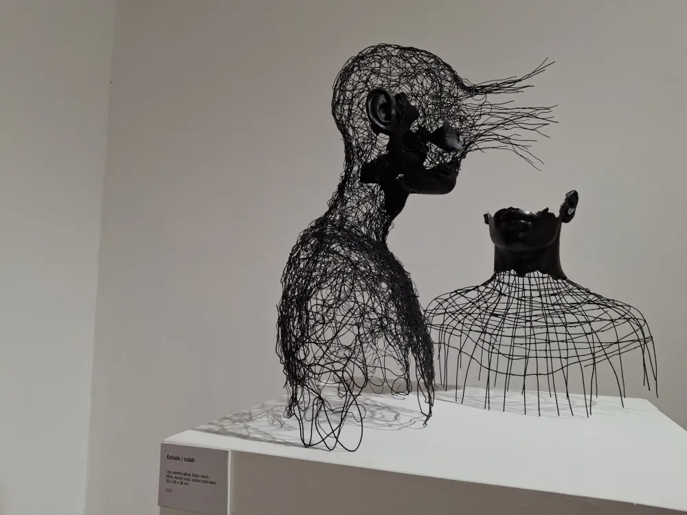 Snovi upleteni u kosu koju mrsi vjetar