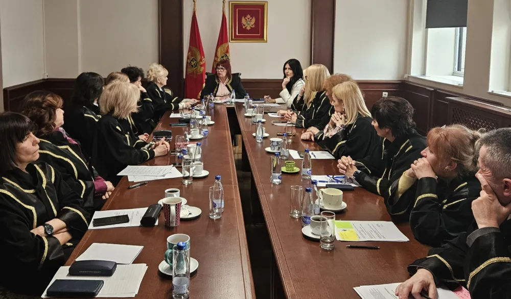 Grdinić predsjednik Komisije za izbor članova Sudskog savjeta iz reda sudija