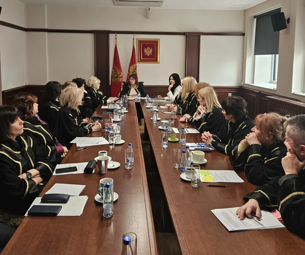 Grdinić predsjednik Komisije za izbor članova Sudskog savjeta iz reda sudija