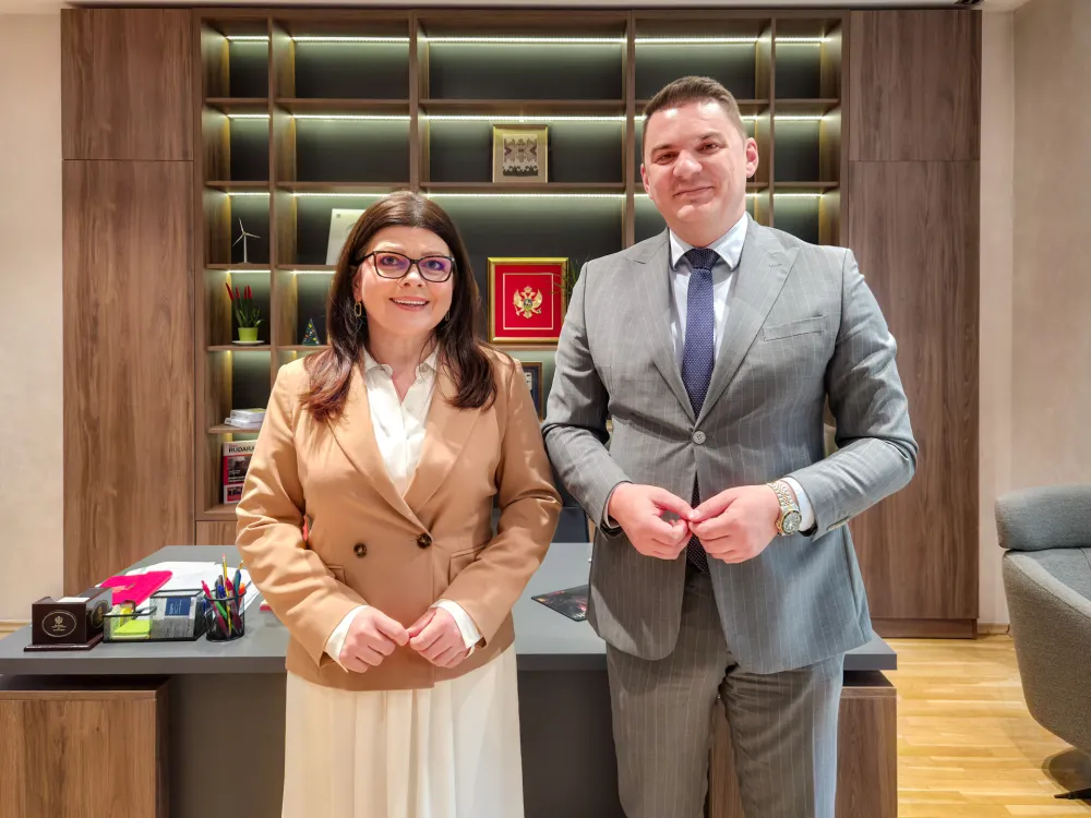Uspostavljen institucionalni okvir za unapređenje saradnje u oblasti promocije energetske tranzicije