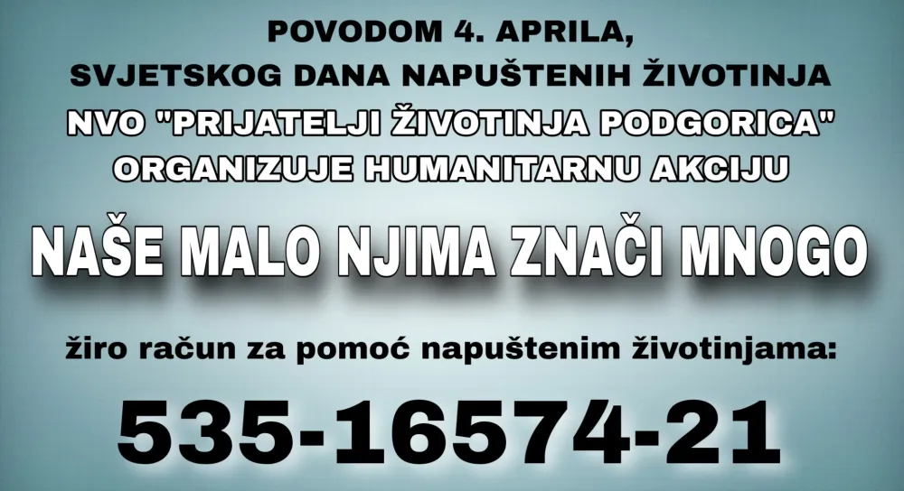 Danas je Svjetski dan napu&scaron;tenih životinja, pomognimo im