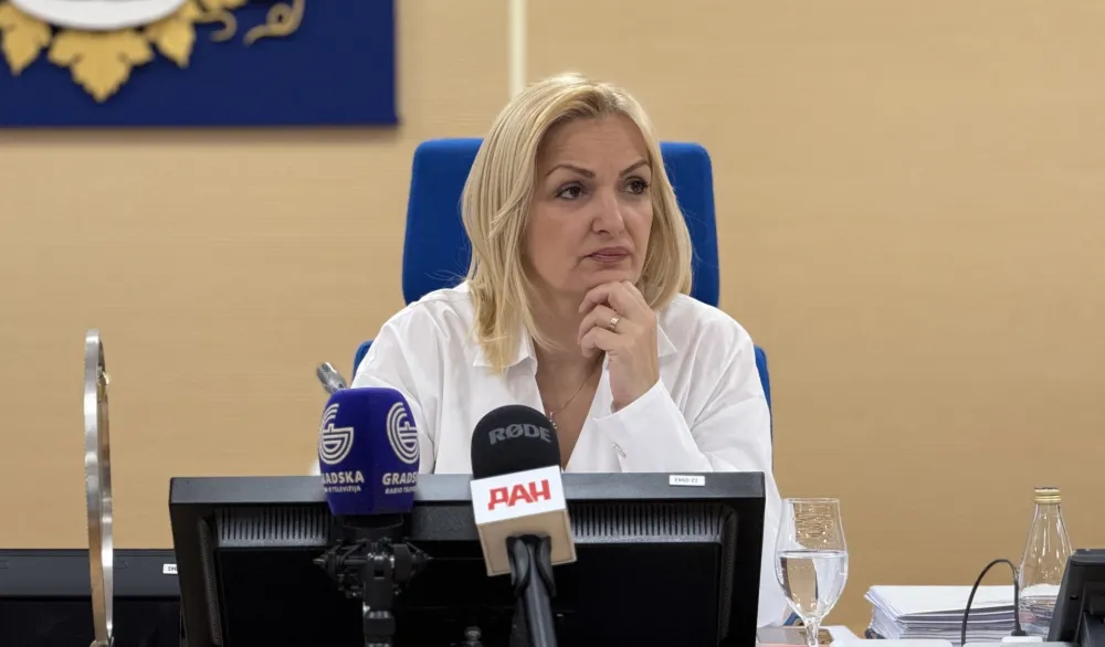 Jelena Borovinić Bojović, Skup&scaron;tina Glavnog Grada
