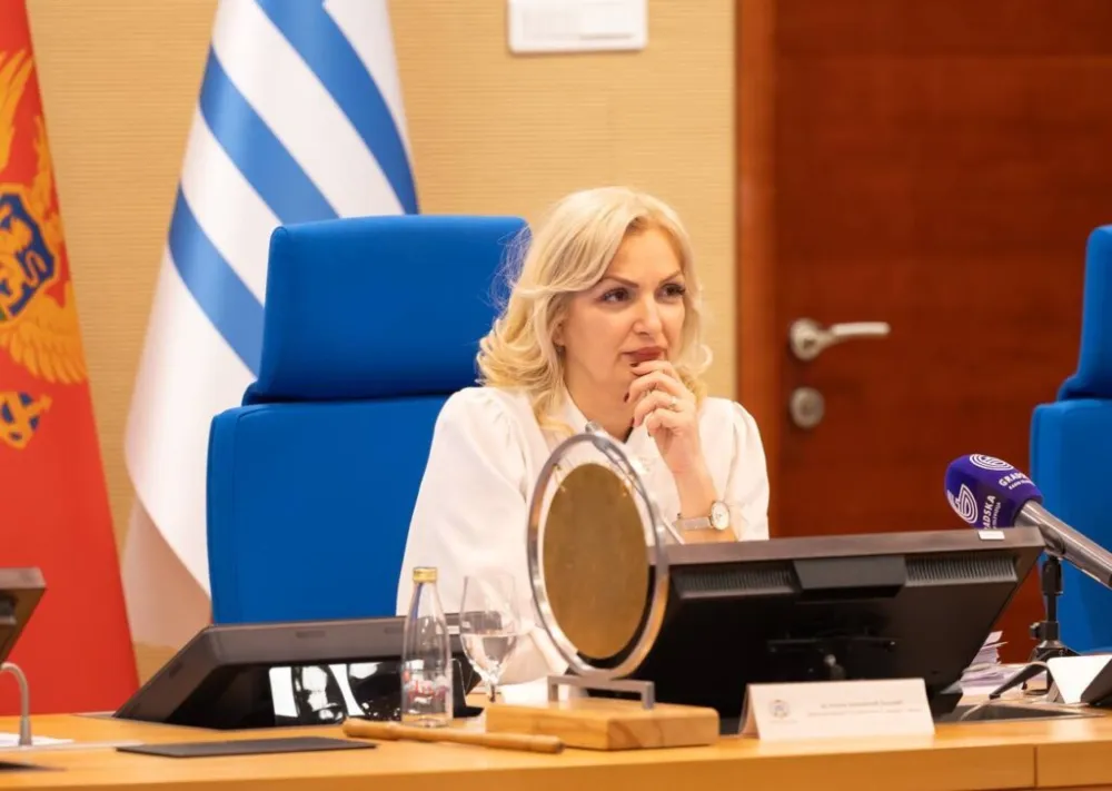Provjeriće da li Borovinić Bojović ima podr&scaron;ku 30 odbornika
