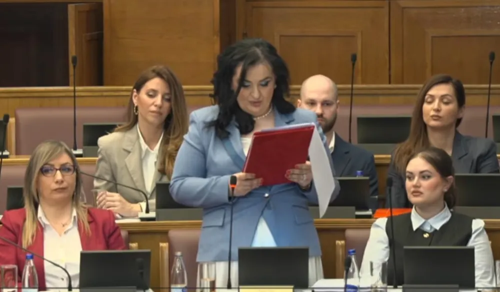 Ni&scaron;ić: Povećanje roditeljskog odsustva na 14 mjeseci pozitivna mjera