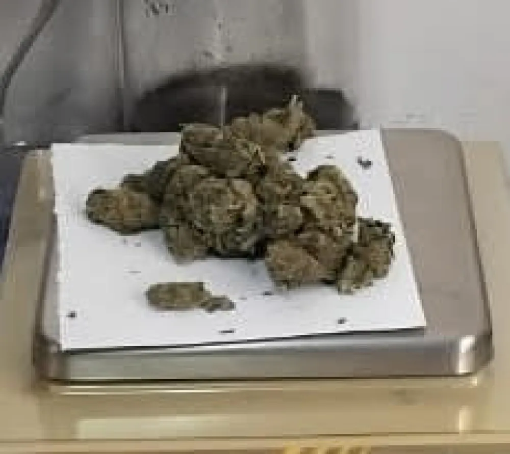 Nađena droga