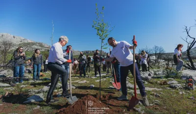 "Zelena obnova Crne Gore": MERS pokrenuo aktivnosti obnove opožarenih područja u Piperima