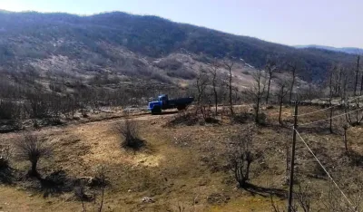 Medvjed usmrtio tele nadomak kuće u selu Busak, nadomak Banjana i Nik&scaron;ićkih Rudina
