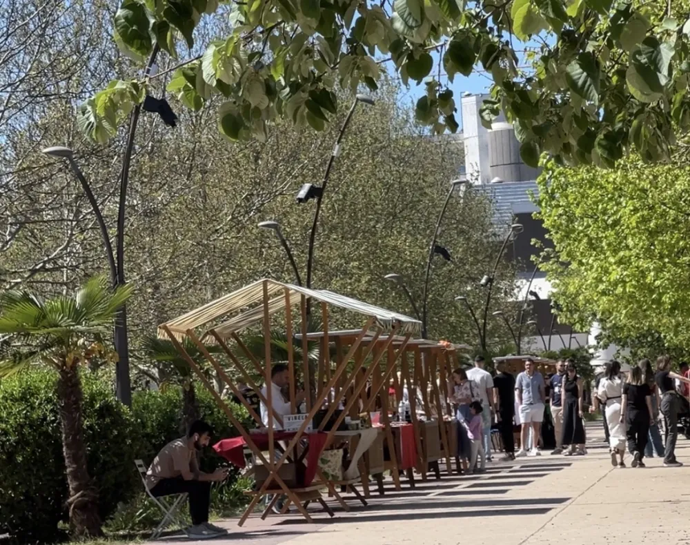 Podgorički piknik 2026