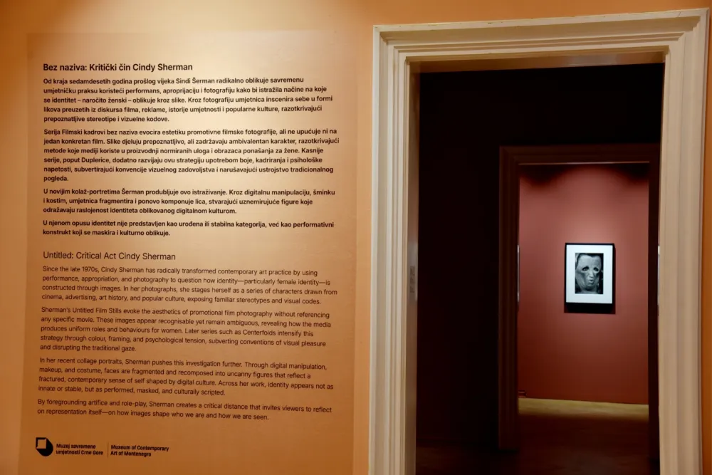 Detalj postavke u Dvorcu Petrovića