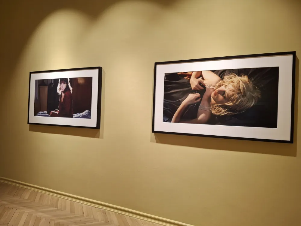 Radovi Sindi &Scaron;erman