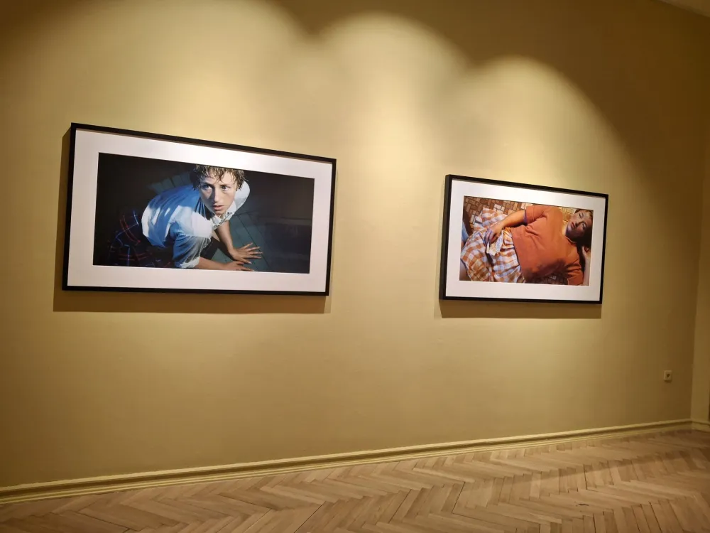 Radovi Sindi &Scaron;erman