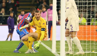 Fiorentina na koljenima