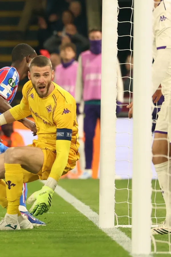 Fiorentina na koljenima