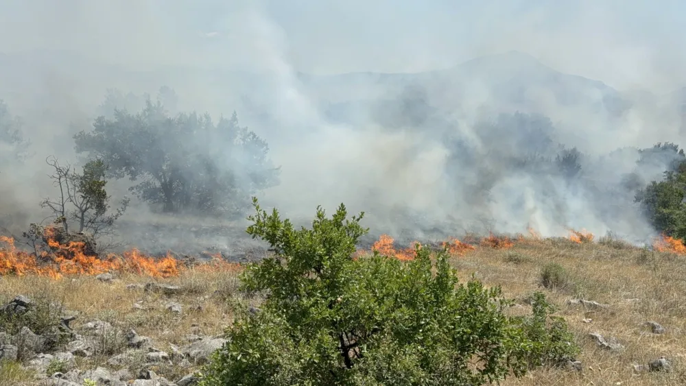 Služba za&scaron;tite i spa&scaron;avanja Podgorica, požari, vatrogasci, vatra