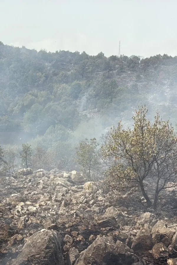 Služba za&scaron;tite i spa&scaron;avanja: Na teritoriji op&scaron;tine Danilovgrad trenutno je stanje mirno