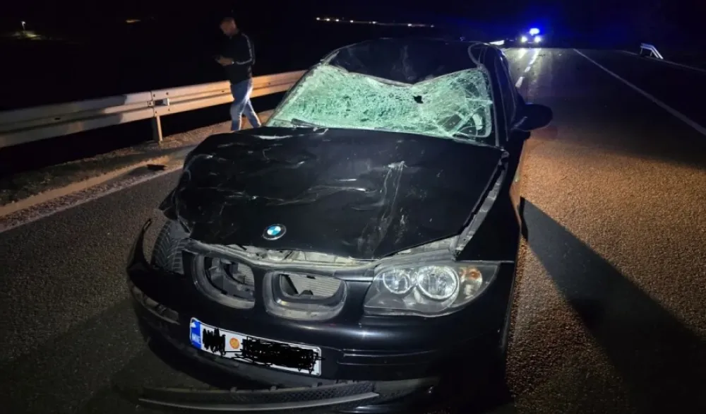 Udes na Obzovici: Automobil naletio na govedo, povrijeđena jedna osoba