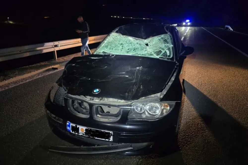 Udes na Obzovici: Automobil naletio na govedo, povrijeđena jedna osoba