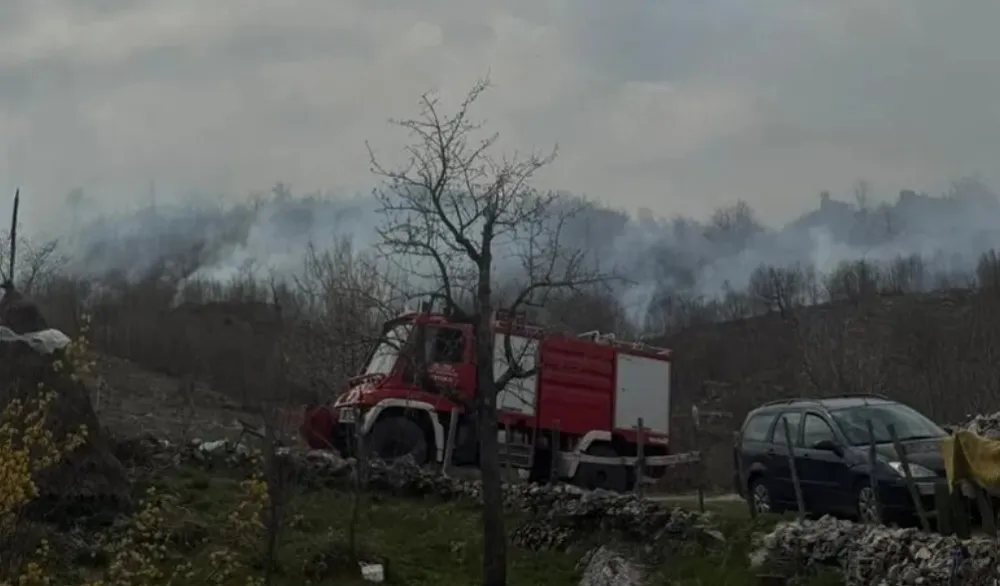 Cetinjski vatrogasci na terenu: Požar gori u Lastvi Čevskoj